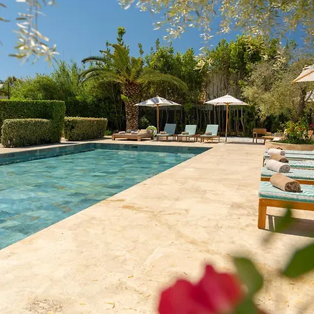 Lou Saint-Tropez